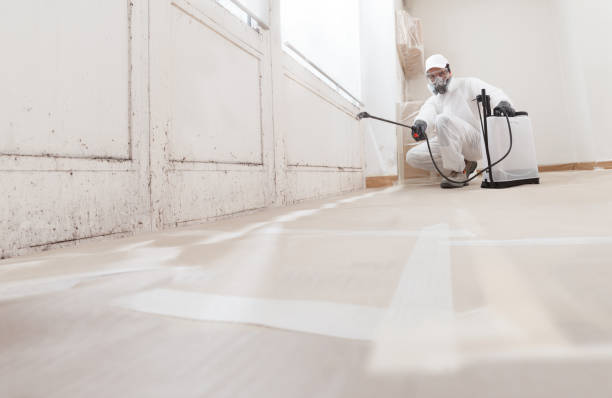 24/7 Emergency Mold Cleanup experts in Augusta, MI