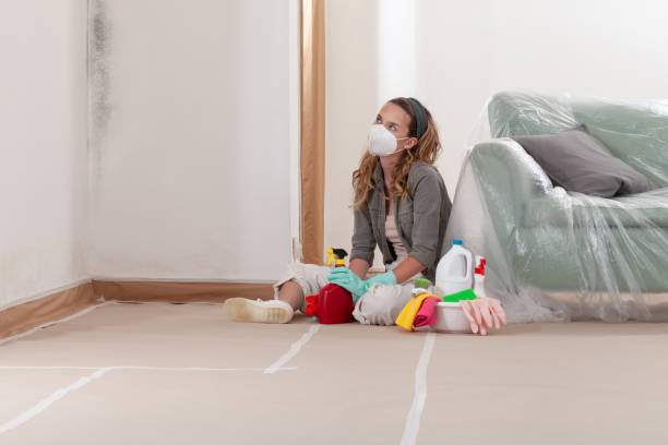 Reliable Mold Cleanup contractor in Augusta, MI by Cheap Mold Removal